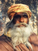 Indian Gent